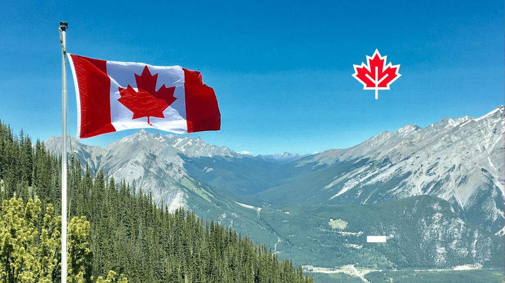 FroggyTalk international calling app from Canada